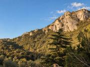 Top Casoli
