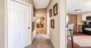 Top Auburn Hills
