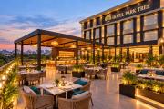 Top New Delhi