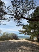 Sunny Dune