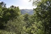 Top Hiawassee