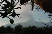 Top Santa Venerina