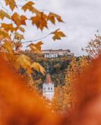 Top Râşnov