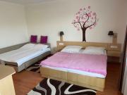 Studio with A - C in Zalakaros 58342