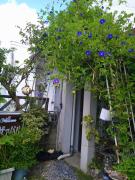 Top Ishigaki Island