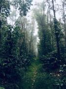 Top Sakleshpur