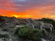 Top Gansbaai