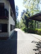 Top Kranj