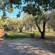 Top Fiesole