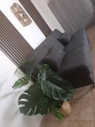 Top Ardea