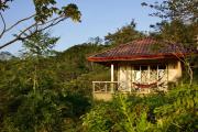 Top Naranjal