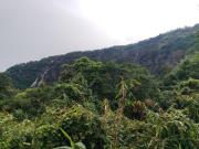 Top Shillong
