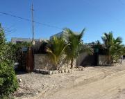 Top Sisal