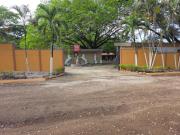 Top Nicoya