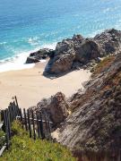 Top Algarrobo