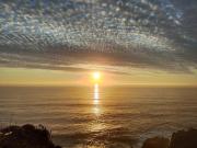Top Algarrobo