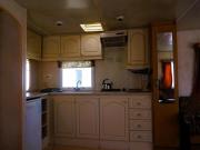 Top Łazy