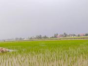 Top Sungai Besar