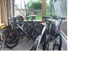 Top Rovereto