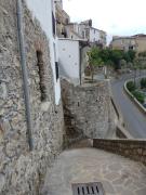 Top Cetraro