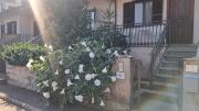 Top Bagnoregio
