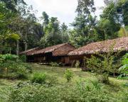 Top Islas Timicuro