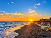 Top Torrox