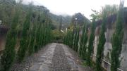 Bruneli House