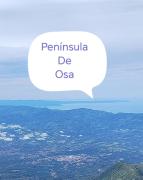 Top División