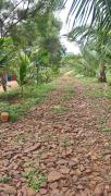 Top Kaglipur