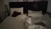 Hotel Mistu