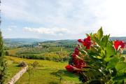 Top San Casciano in Val di Pesa