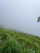 Top Chinnakanal