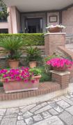 Top Nettuno