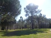 Top Saint-Ciers-dʼAbzac