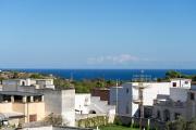 Top Marittima