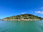 Encanto da Baleia