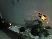 Top Cabo Frio