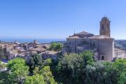 Top Campofilone