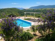 Top Algar
