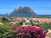 Top Porto San Paolo