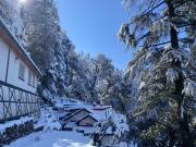 Top Shimla