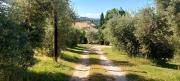 Top Calvi dellʼ Umbria