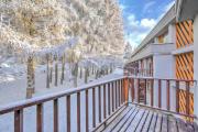 Studio La Finestra Sulle Piste with Balcony and Garage - Happy Rentals