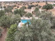 Top As-Suwajra