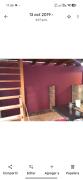 Top Cortines