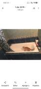 Top Cortines
