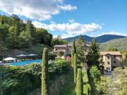 Top Mercatale