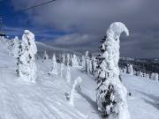 Top West Kelowna