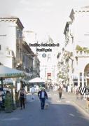 Top Catania
